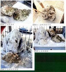 石头造句一年级简单