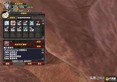 tbc射击猎人和兽王猎人