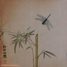 国画花鸟视频